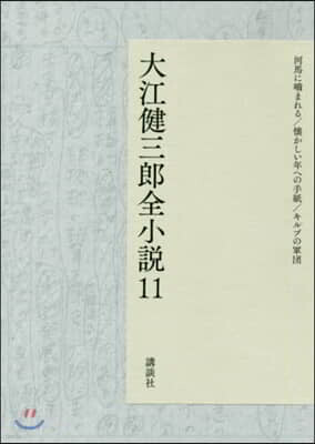大江健三郞全小說(11)