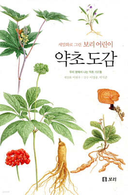 약초 도감: 세밀화로 그린 보리 어린이 도감