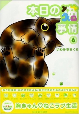 本日の猫事情   6