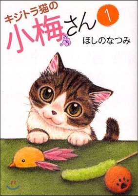 キジトラ猫の小梅さん   1