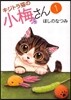 キジトラ猫の小梅さん   1