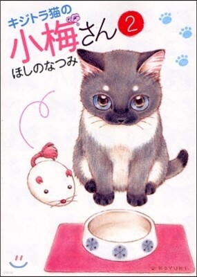 キジトラ猫の小梅さん   2