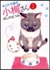 キジトラ猫の小梅さん   2