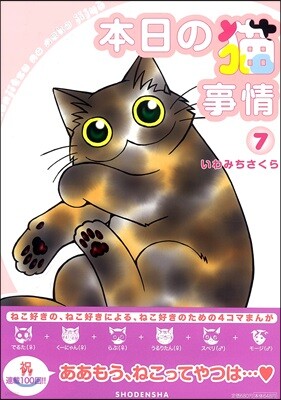 本日の猫事情   7