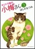 キジトラ猫の小梅さん   3