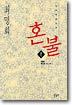 혼불 8