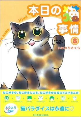 本日の猫事情   8