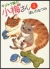 キジトラ猫の小梅さん   4