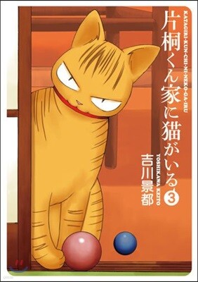 片桐くん家に猫がいる   3