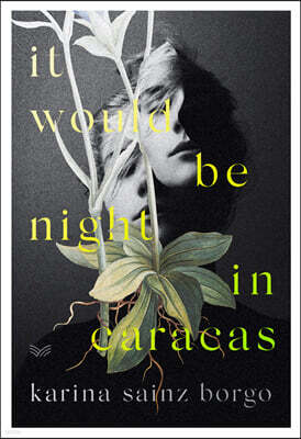 It Would Be Night in Caracas