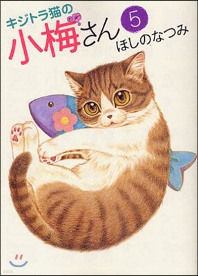 キジトラ猫の小梅さん   5