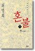 혼불 9