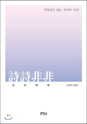 시시비비