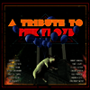 Various Artists - Tribute To Pink Floyd (CD+DVD-Audio)