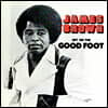 James Brown - Get On The Good Foot 제임스 브라운 34집 [2LP]