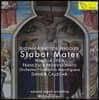 Daniele Callegari 페르골레지: 스타바트 마테르 (Pergolesi: Stabat Mater) [LP]