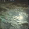 Peter Green (피터 그린) - 2집 In The Skies [LP]