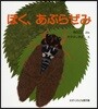 ぼく,あぶらぜみ