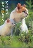ママになったネコの海ちゃん
