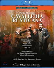 Alexia Voulgaridou 피에트로 마스카니: 오페라 &#39;카발레리아 루스티카나&#39; (Pietro Mascagni: Cavalleria rusticana)
