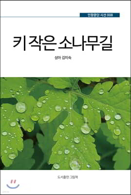 키 작은 소나무길