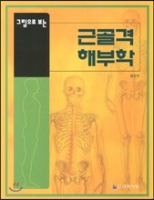 그림으로 보는 근골격 해부학