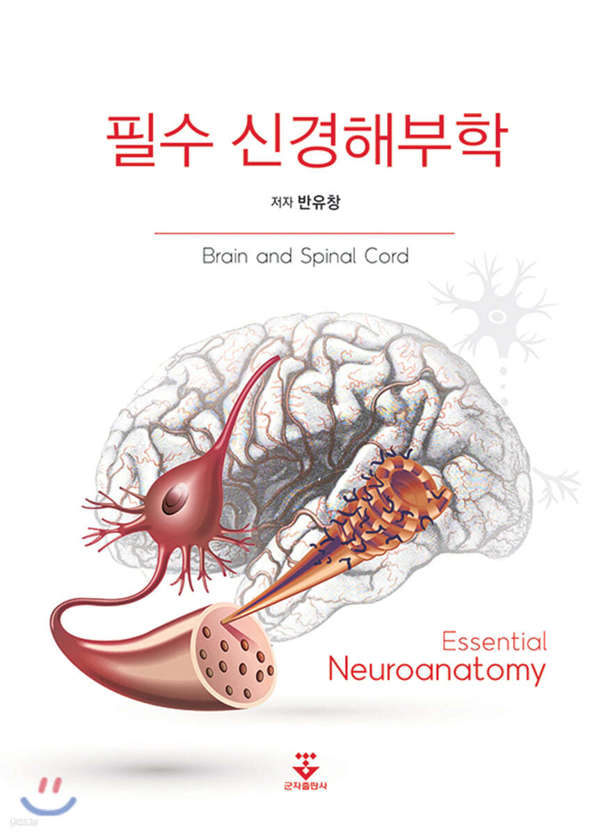 필수 신경해부학 