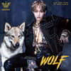 김우성 - WOLF