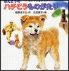 ほんとうのハチこうものがたり もいちどあいたい