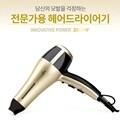 앨리스 2000W 전문가용 헤어드라이기 AH-1990D