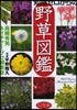 知識ゼロからの野草圖鑑