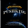 Pushking - The World As We Love It (2LP)