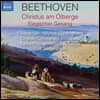 Leif Segerstam 베토벤: 오라토리오 '감람산 위의 그리스도', 비가 (Beethoven: Christus am Olberge, Elegischer Gesang)