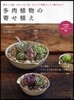 多肉植物の寄せ植え 變わった姿,おもしろい形,ぷっくり可愛らしくて癒される!
