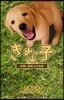 きな子 見習い警察犬の物語