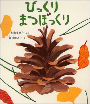 びっくりまつぼっくり