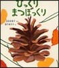 びっくりまつぼっくり