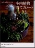 多肉植物育て方ノ-ト solxsolがおしえる