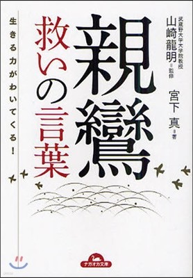 親鸞救いの言葉 