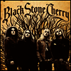 Black Stone Cherry - Black Stone Cherry (180G)(Gold LP)
