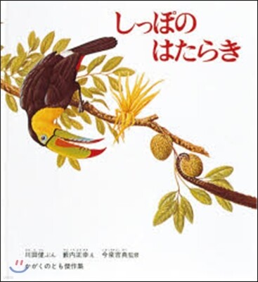 しっぽのはたらき 大型繪本