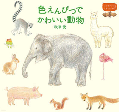 色えんぴつでかわいい動物 はじめてのLesson