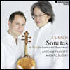 Antoine Tamestit / Masato Suzuki 바흐: 비올라 다 감바 소나타와 쳄발로를 위한 소나타 (Bach: Sonatas for Viola Da Gamba and Harpsichord)