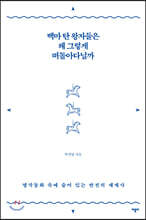 백마 탄 왕자들은 왜 그렇게 떠돌아다닐까