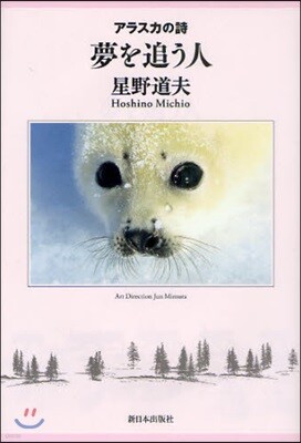 夢を追う人