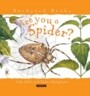 Are You a Spider?