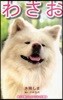 わさお