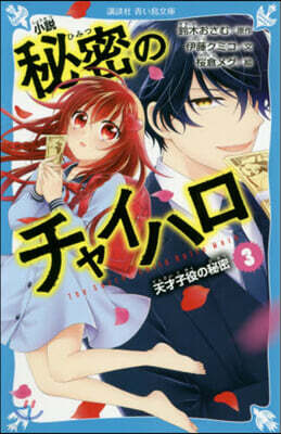 小說 秘密のチャイハロ(3)