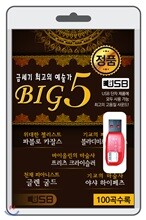 (USB) BIG5 (금세기 최고의 예술가)