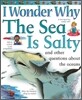 I Wonder Why the Sea Is Salty : And Other Questions about the Oceans